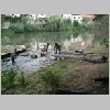 Treibholzbeseitigung an der Rauhen Rampe 009.jpg